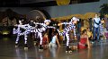 Lionking 0546